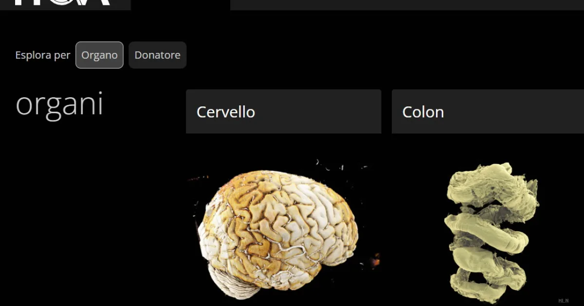 Rivoluzione medica: il corpo umano diventa esplorabile come Google Maps