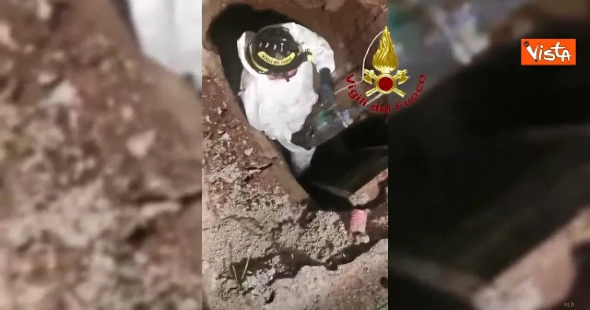 Otto ore di soccorso: i vigili del fuoco liberano Teddy dal cunicolo a Frosinone