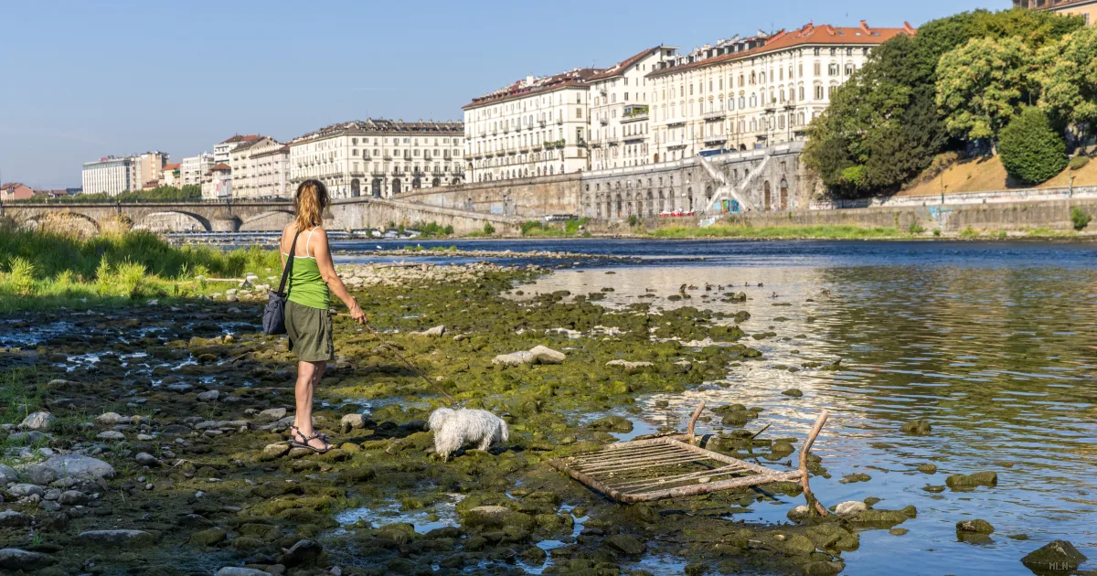 Il Po soffoca nella plastica: il 62% dei rifiuti è inquinamento marino