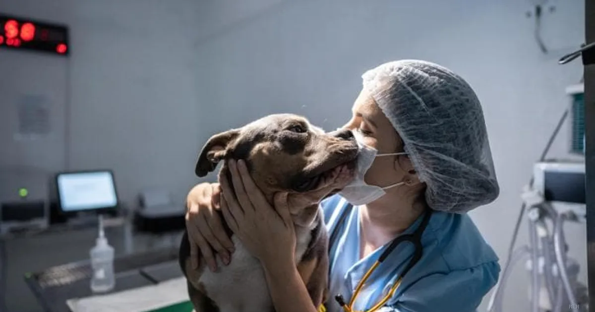 La scienza ribatte alle critiche: avere animali domestici o figli? Due strade equivalenti