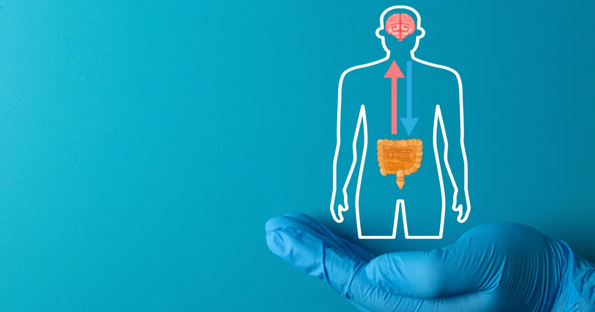 Memoria e invecchiamento: il segreto nascosto nell'intestino, non solo nel cervello