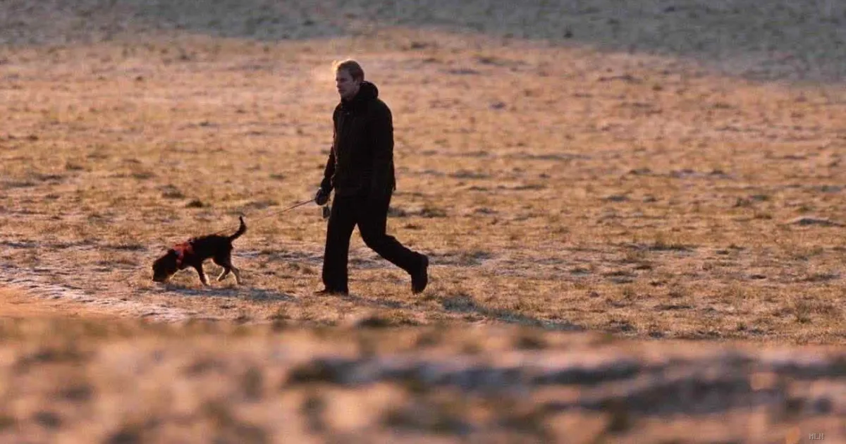 Regno Unito: scattano le super-multe per cani in campagna. Sanzioni illimitate da mercoledì