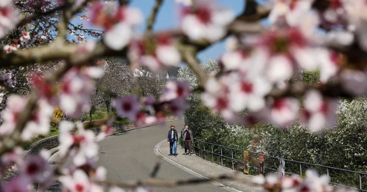 Settimana instabile al Sud, ma il freddo artico arriva già mercoledì