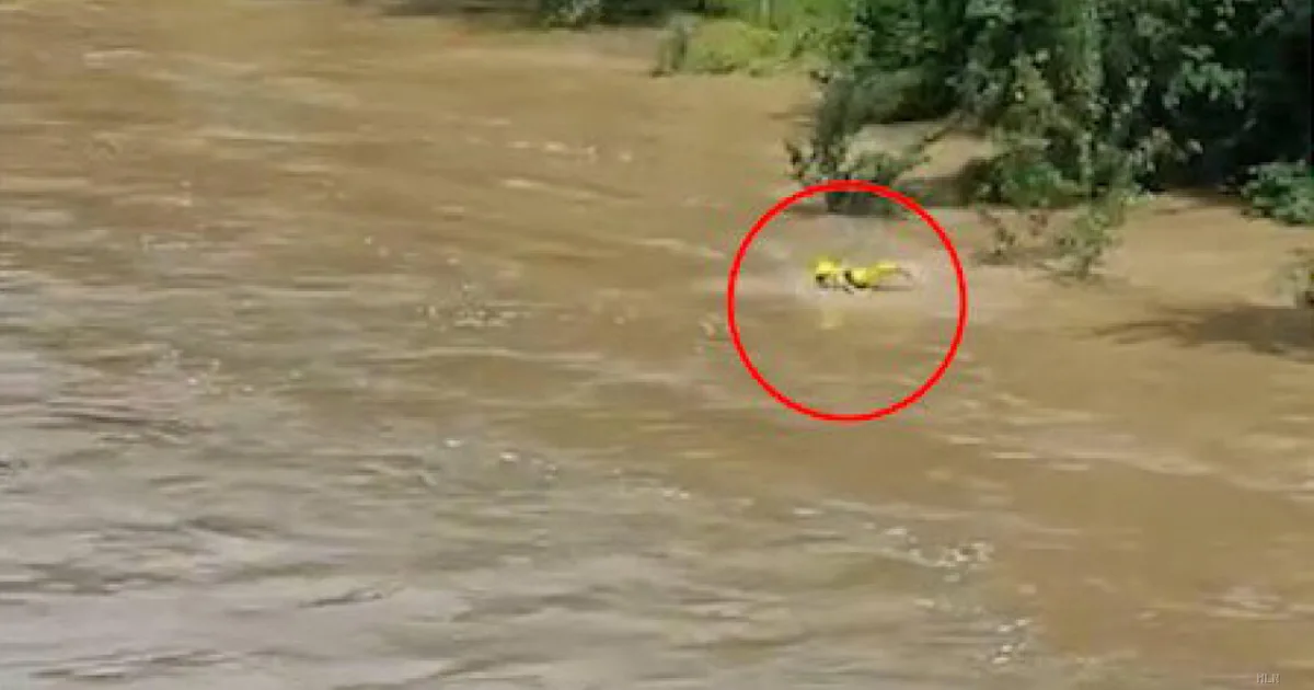 Tragedia del Natisone, il processo entra nel vivo: circa 50 testimoni in aula