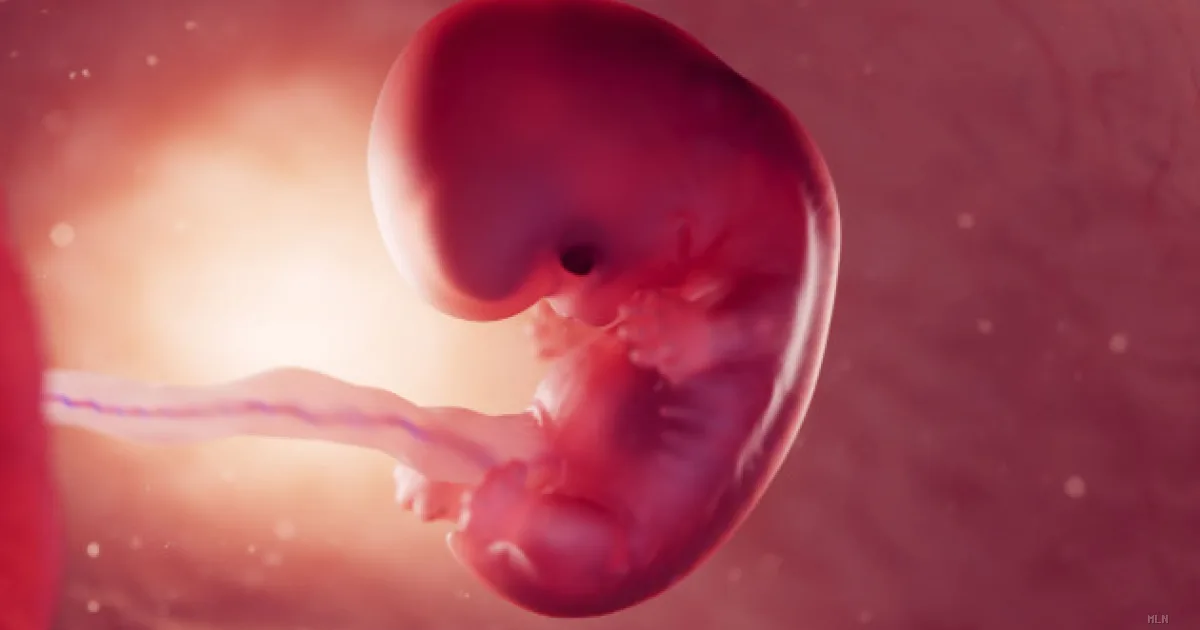 Cibi ultraprocessati nemici della fertilità maschile: lo studio che cambia la pianificazione riproduttiva