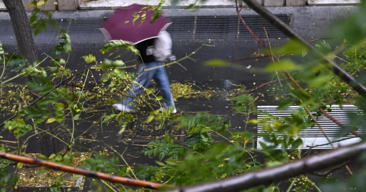 Tempesta nel Friuli Venezia Giulia: vento a 216 km/h sul Monte Rest