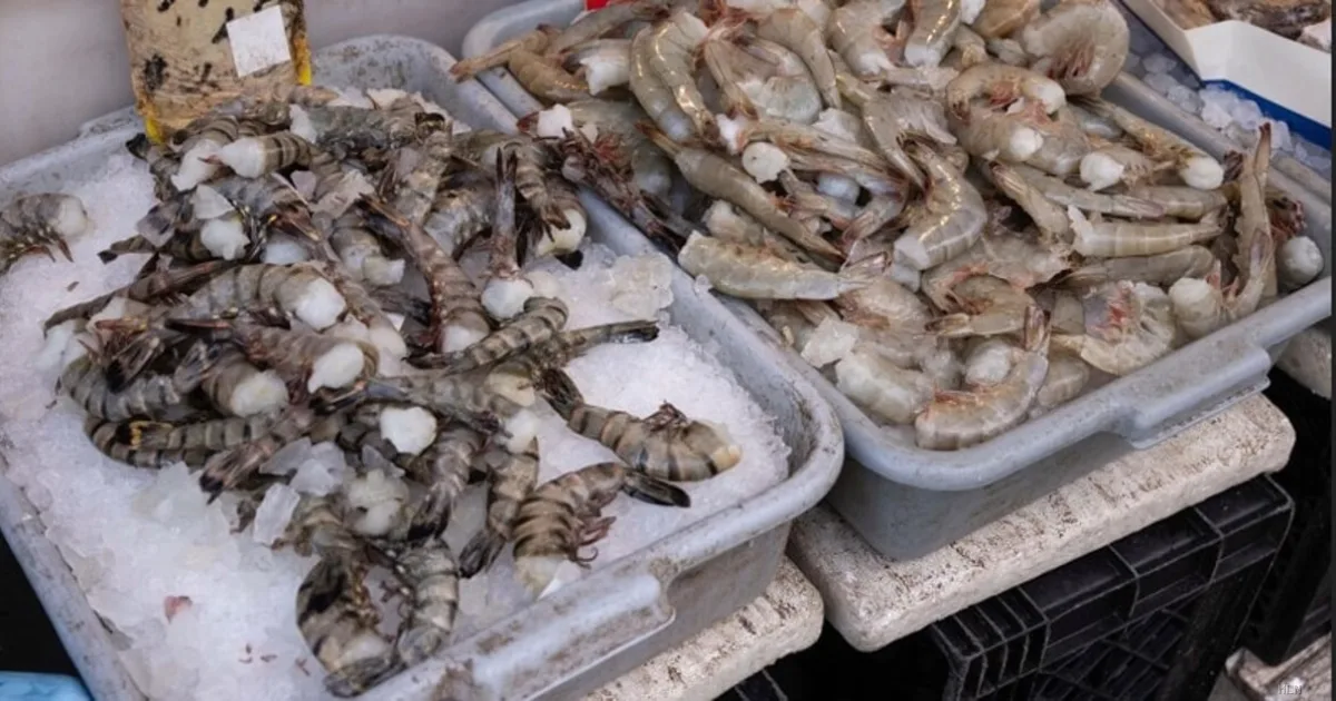 Epatite A: come proteggersi oltre i frutti di mare. Le regole essenziali per la cucina