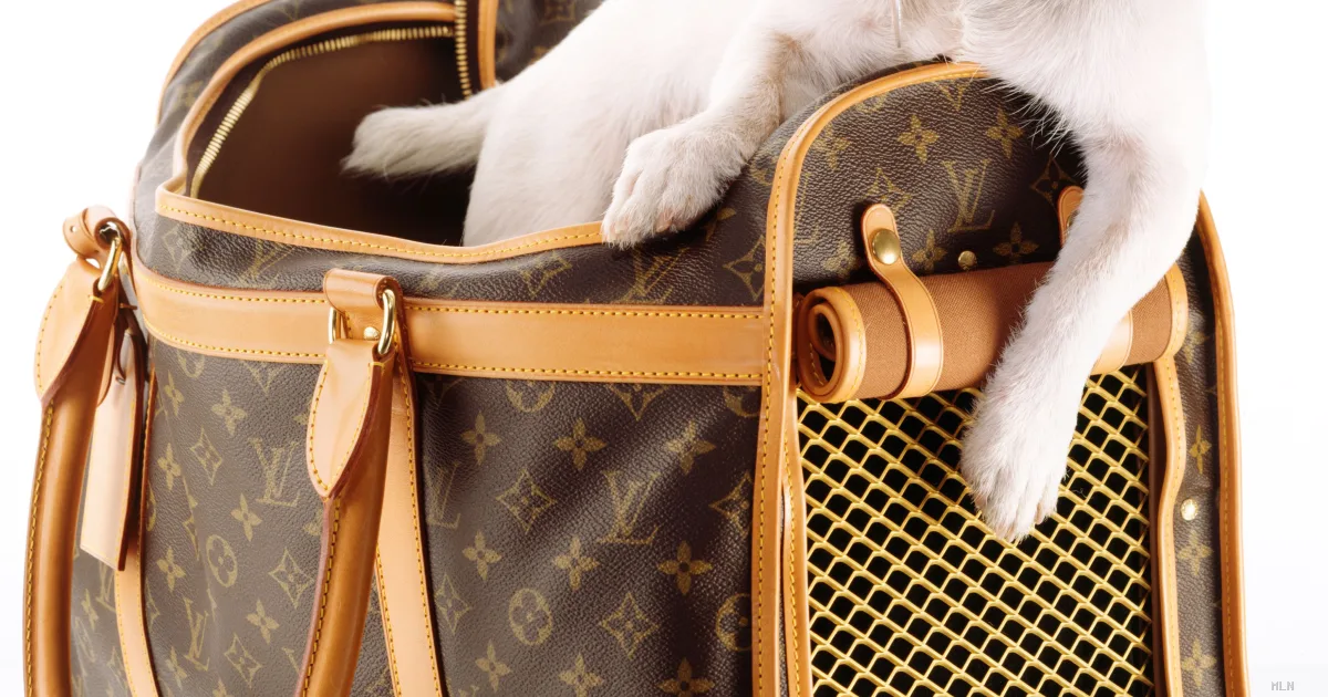 Dupe e intelligenza artificiale: come i falsi diventano invisibili sui social