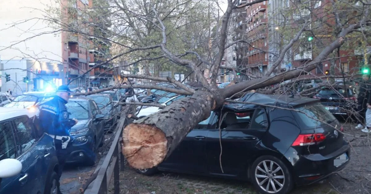 Tempesta di vento in Lombardia: raffiche fino a 130 km/h, chiusi parchi e strade