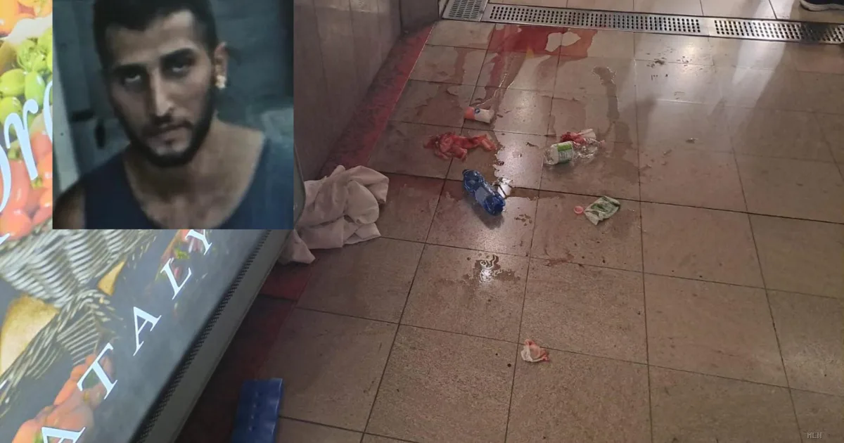 Aggredita con un coltello in metro a Milano: «Mi ha distrutto il futuro» racconta la 22enne