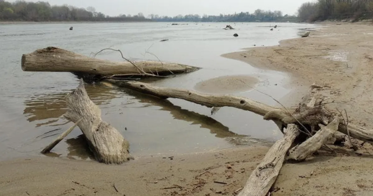 Emergenza siccità nel Delta del Po: crisi per molluschi e agricoltura