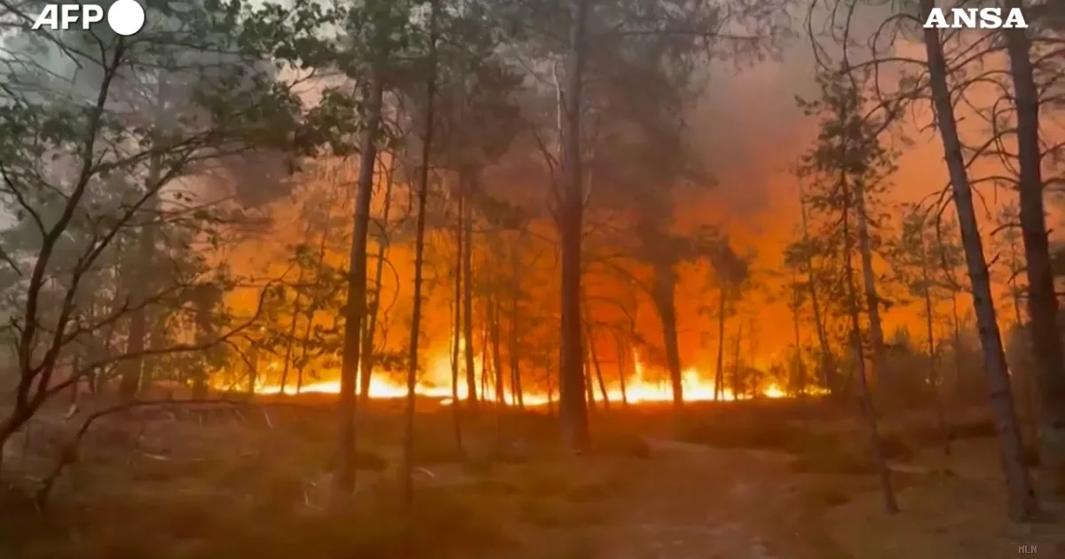 Incendio devastante nella foresta di Fontainebleau: oltre 800 ettari in fiamme a sud di Parigi